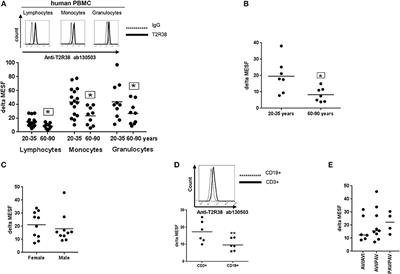 Human T2R38 Bitter Taste Receptor Expression in Resting and Activated Lymphocytes